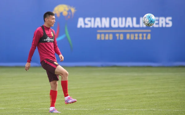 남자의 Dabao는 Fifa 2018 아시아 중국의 2016에에서 세션에 참여를 한다합니다 — 스톡 사진