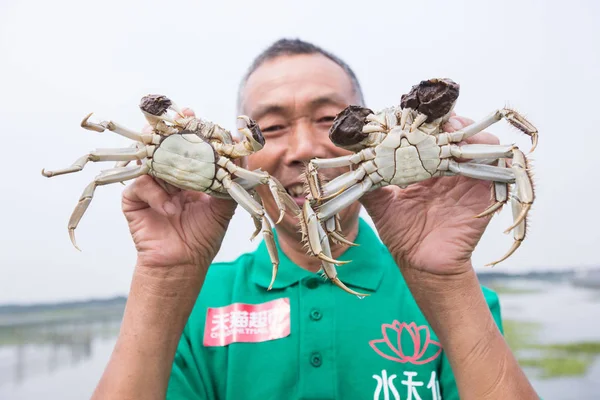 Pescar Arată Crabi Păroși Lângă Lacul Yangcheng Din Orașul Suzhou — Fotografie, imagine de stoc