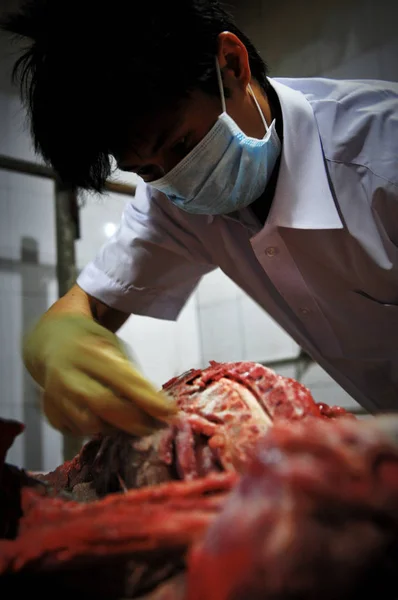 Китайський Шеф Кухар Спеції Порося Гробниці Радикальні День Або Цинмінг — стокове фото