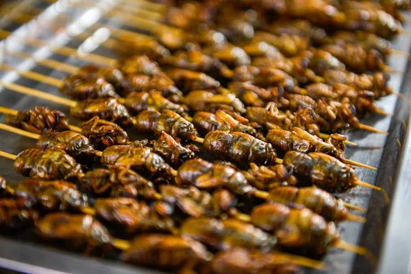 Stekt Insekter Till Salu Ett Stall Gata Luoyang City Henan — Stockfoto