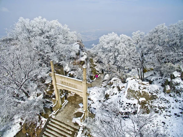Letecký Pohled Stromy Sněhem Zijinshan Horská Oblast Nanjing City Východní — Stock fotografie