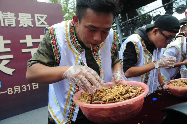 Versenytársak Zabál Rovarok Során Egy Rovar Étkezési Verseny Lijiang Város — Stock Fotó