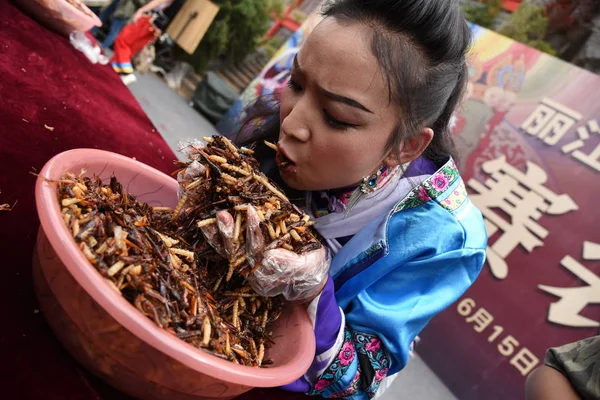 Lijiang Şehir Güneybatı Çin Yunnan Eyaleti Haziran 2017 Böcek Yiyen — Stok fotoğraf
