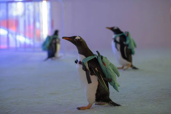 Pinguïns Uitvoering Zakken Bezoek 20E China Harbin Ijs Sneeuw Wereld — Stockfoto