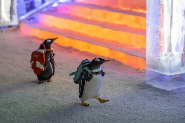 Pinguins Levando Sacos Visitar 20Th China Harbin Ice Snow World — Fotografia de Stock