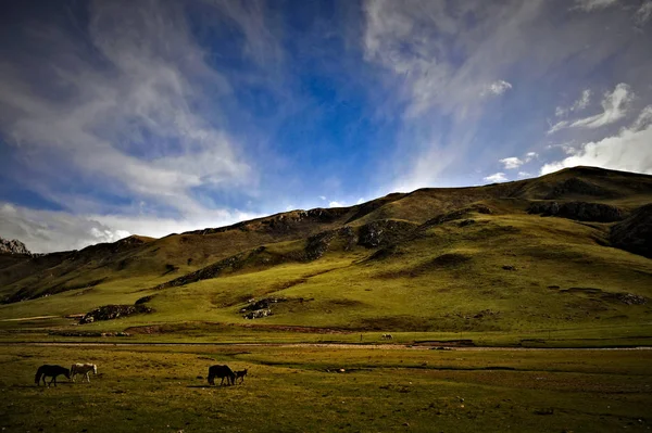 Paisagem Reserva Natural Nacional Sanjiangyuan Snnr Também Conhecida Como Reserva — Fotografia de Stock