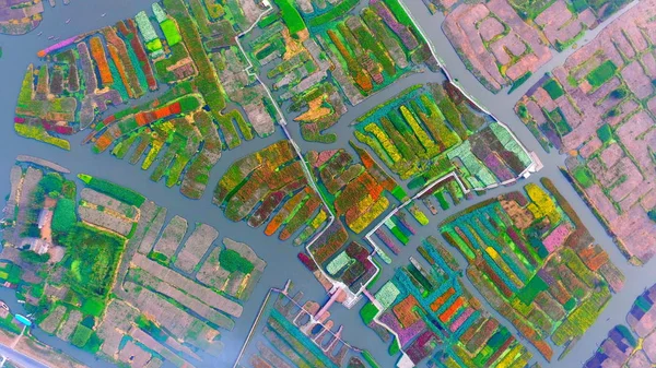 Una Vista Aérea Coloridos Campos Caléndula Lugar Pintoresco Ciudad Xinghua —  Fotos de Stock