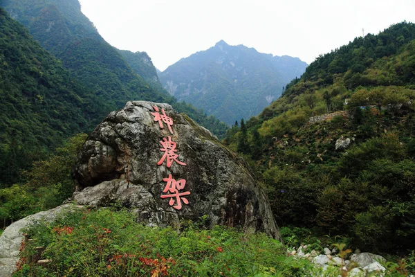 Landskap Shennongjia National Nature Reserve Höst Shennongjia Skogsbruks Distriktet Centrala — Stockfoto