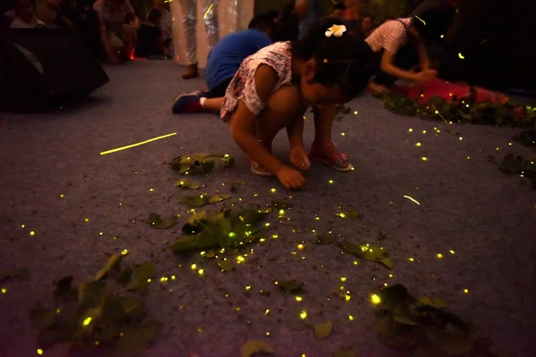 Niños Chinos Capturan Luciérnagas Liberadas Evento Nocturno Ciudad Chengdu Provincia —  Fotos de Stock