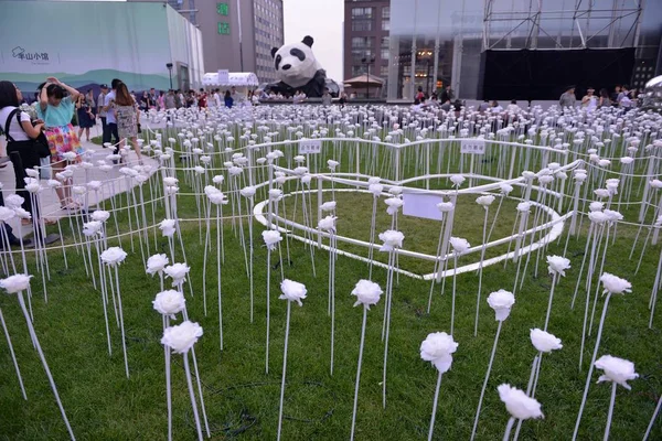 Een Weergave Van Witte Rozen Led Tijdens Licht Rose Garden — Stockfoto