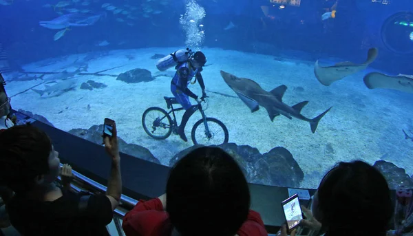 Mergulhador Chinês Monta Uma Bicicleta Entre Animais Marinhos Durante Uma — Fotografia de Stock