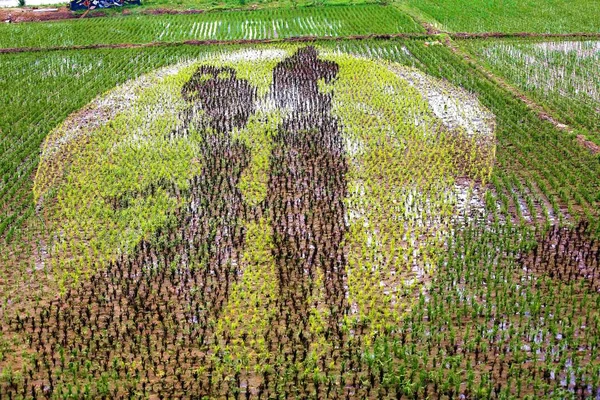 Uma Pintura Arroz Paddy Sétima Fada Dong Yong Reunião Ponte — Fotografia de Stock