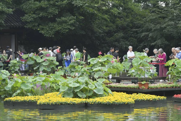 Látogatók Fotózni Egy Lótusz Látható Ötödik Hangzhou West Lake Lotus — Stock Fotó