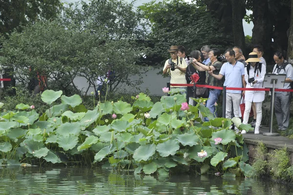 Ziyaretçiler Doğu Çin Zhejiang Eyaletinin Hangzhou Kentindeki Guos Villa Düzenlenen — Stok fotoğraf
