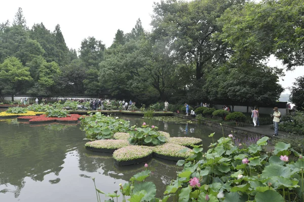 Tekintettel Lótusz Látható Ötödik Hangzhou West Lake Lotus Kiállítás Guos — Stock Fotó