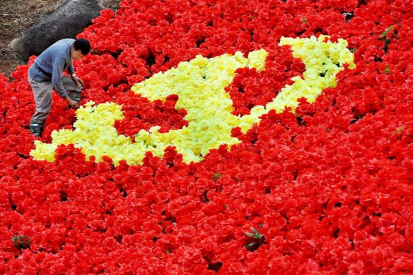 Ένας Κινέζος Εργαζόμενος Δαμάζουν Λουλούδια Σχήμα Της Σημαίας Του Κομμουνιστικού — Φωτογραφία Αρχείου