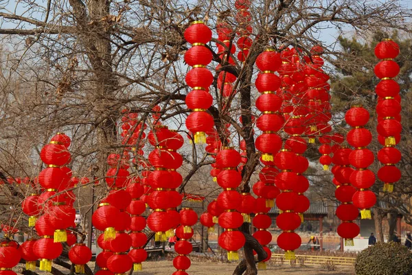 Yuanying Guan Immense Ocean Observatory Decorated Red Lanterns Upcoming Spring — Stock Photo, Image