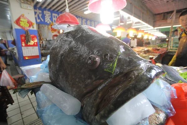 Vista Uno Los Dos Peces Gigantes Que Comerciante Chino Pescado —  Fotos de Stock