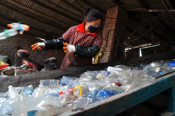 Bestand Een Vrouwelijke Chinese Werknemer Sorteert Afgedankte Plastic Flessen Een — Stockfoto