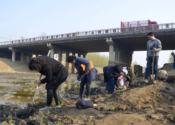 Residentes Chinos Locales Excavan Tesoros Río Weihe Parte Del Gran — Foto de Stock