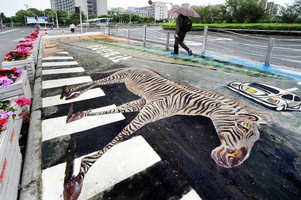 Fot Gängare Promenader Zebra Korsning Med Målning Zebra Xuhui District — Stockfoto