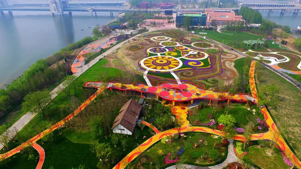 Flyg Foto Blomma Fält Marco Polo Flower World Yangzhou Stad — Stockfoto