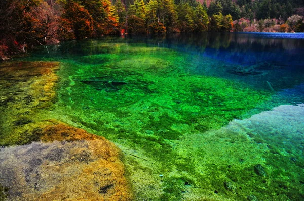 Landschaft Des Fünffarbigen Teiches Jiuzhaigou Tal Tal Der Neun Dörfer — Stockfoto