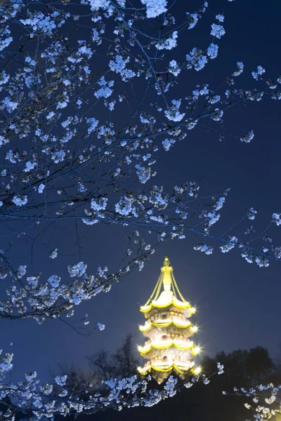 Vue Des Cerisiers Pleine Floraison Devant Temple Jiming Dans Ville — Photo