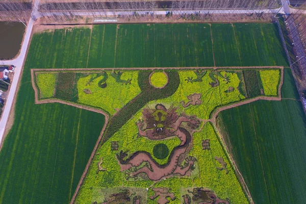 Longpao 古代宮廷ローブ 2016 日中国東部の江蘇省南京市の郊外に菜種の分野での巨大な絵画の空撮 — ストック写真