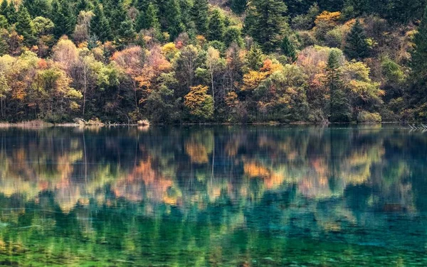 Krajobraz Five Flower Lake Jiuzhaigou Valley Nine Villages Valley Jiuzhaigou — Zdjęcie stockowe