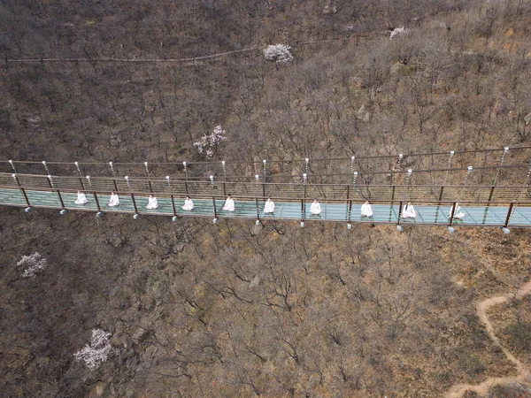 Entusiastas Chinos Extranjeros Realizan Yoga Puente Colgante Fondo Vidrio 180 — Foto de Stock