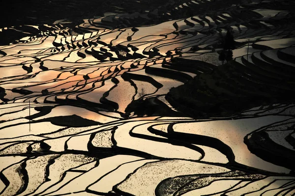 Landschaft Terrassenförmiger Reisfelder Der Honghe Hani Reisterrassen Eines Der Unesco — Stockfoto