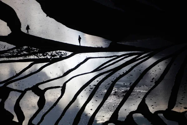 Landscape Terraced Rice Fields Honghe Hani Rice Terraces One Unesco — Stock Photo, Image