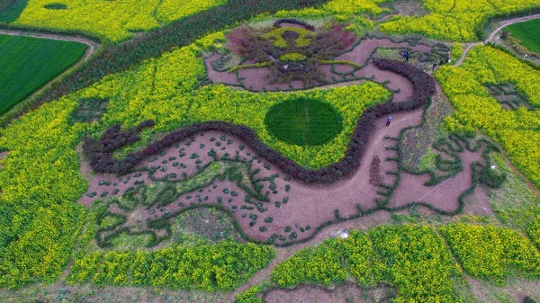 Veduta Aerea Enorme Dipinto Longpao Antica Veste Della Corte Imperiale — Foto Stock