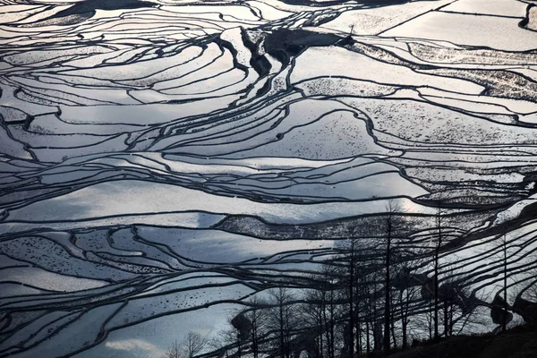 Krajobraz Tarasowych Pól Ryżowych Honghe Hani Rice Tarasy Jeden Światowego — Zdjęcie stockowe