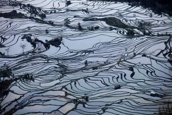 Paisaje Campos Arroz Terrazas Las Terrazas Arroz Honghe Hani Uno — Foto de Stock