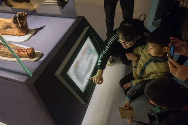 Visitatori Cinesi Hanno Letto Presentazioni Due Mummie Esposte Durante Terra — Foto Stock