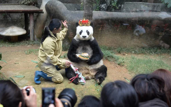 Mujer Panda Gigante Basi Posa Para Las Fotos Durante Una — Foto de Stock