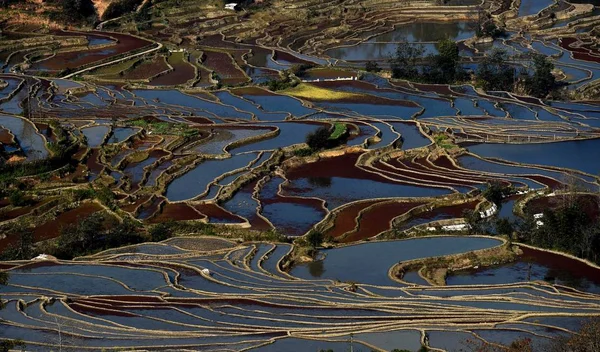 Paisaje Campos Arroz Terrazas Las Terrazas Arroz Honghe Hani Uno — Foto de Stock