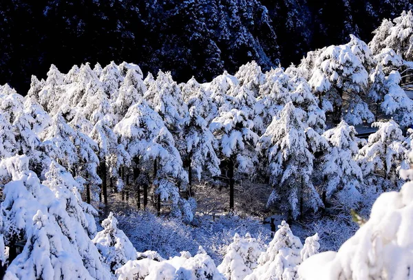 Landschaft Des Huangshan Gebirges Winter Der Stadt Huangshan Provinz Anhui — Stockfoto