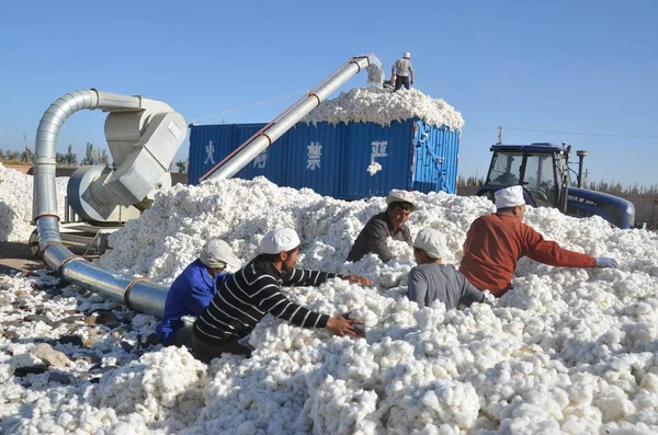 Chinesische Arbeiter Laden Baumwolle Auf Einen Lkw Auf Einem Sonnenplatz — Stockfoto