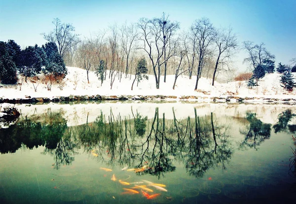 Vista Del Antiguo Palacio Verano También Conocido Como Yuanmingyuan Nieve — Foto de Stock