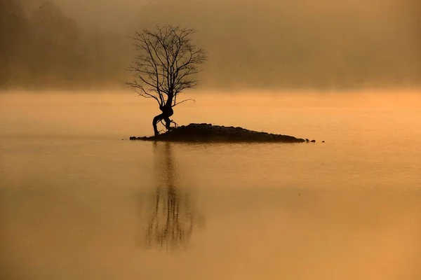 Landschaft Des Qishu Sees Bedeckt Von Nebelschwaden Einem Wintermorgen Huangshan — Stockfoto