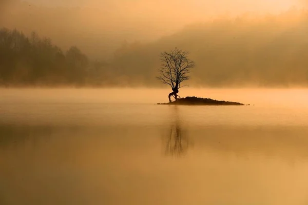 Paisagem Lago Qishu Coberta Por Spray Névoa Uma Manhã Inverno — Fotografia de Stock