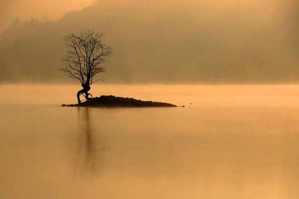 Landschaft Des Qishu Sees Bedeckt Von Nebelschwaden Einem Wintermorgen Huangshan — Stockfoto