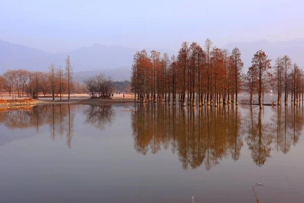 Краєвид Озера Qishu Покриті Розпилення Туману Зимовий Ранок Гора Хуаншань — стокове фото