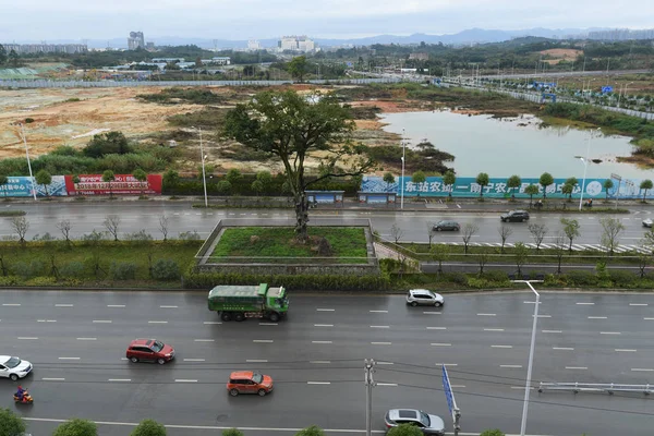 Ett 402 Åriga Träd Sparas Byggandet Väg Nanning City Södra — Stockfoto