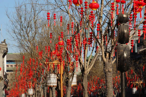 2019年1月23日 北京の通りで 中国人労働者が木の枝に赤い提灯を掛け 春節や旧正月 豚の年 を記念する — ストック写真