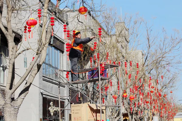 Chinese Worker Hangs Red Lanterns Tree Branches Mark Upcoming Spring — Stok fotoğraf