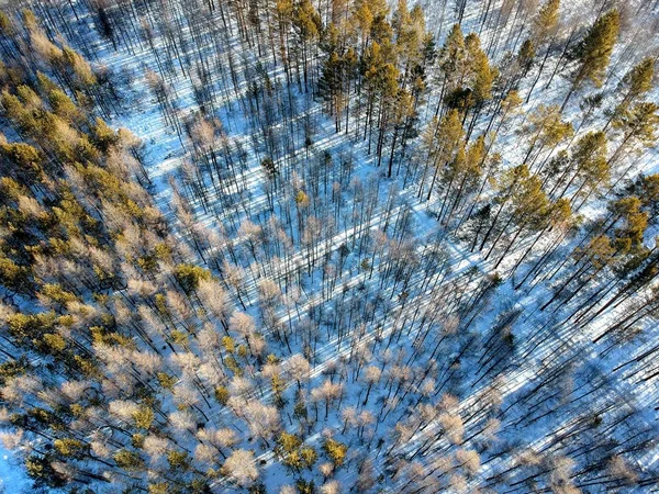 Paysage Des Forêts Enneigées Chaîne Montagnes Grand Khingan Également Connue — Photo